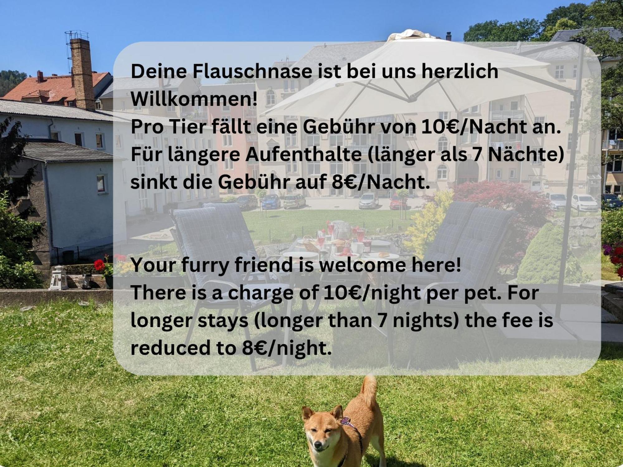 Hw2B - Urlaubsmagie - Wohlfuehlwohnung Mit Balkon, Pool, Sauna & Terrasse Sebnitz Εξωτερικό φωτογραφία